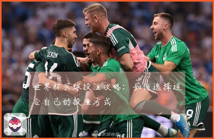 世界杯买球投注攻略：如何选择适合自己的投注方式