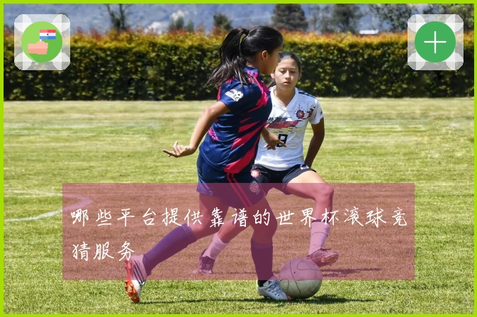 哪些平台提供靠谱的世界杯滚球竞猜服务